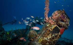 Scuba diving in St. Martin 2023
